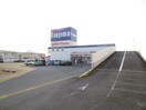 ノジマ大井松田店(電気量販店/ホームセンター)まで1800m シトラルーチェ