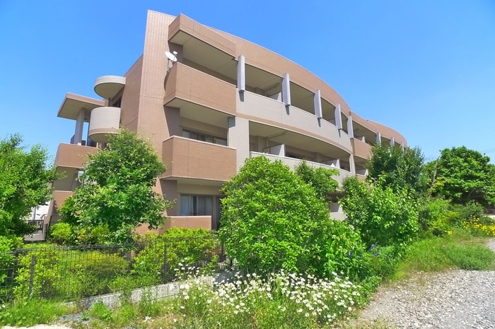 周辺環境 サンシャインＶ