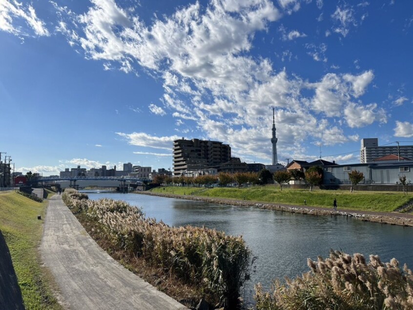 旧中川(公園)まで140m メゾンドティガー