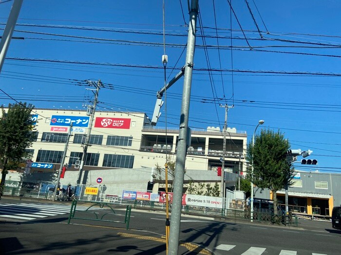 ロピア田無店(スーパー)まで1100m パ－ルハイツ