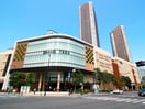 グランツリー(デパート)まで1100m メゾンキト－