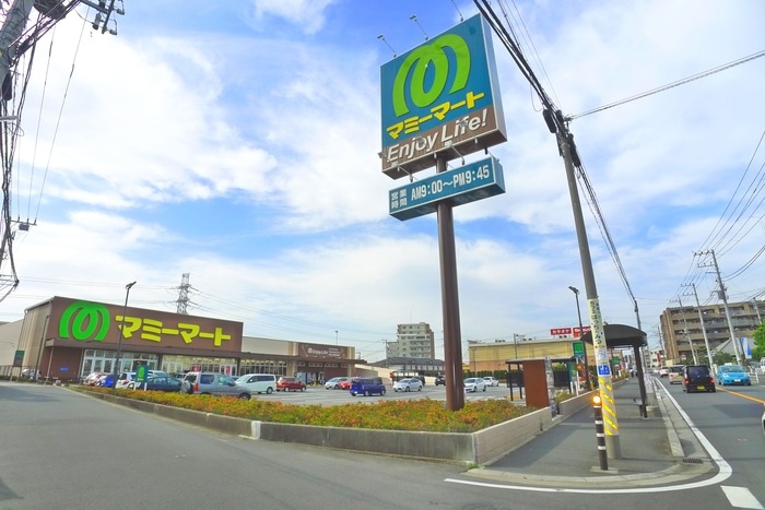 マミーマート(スーパー)まで790m ﾄﾞﾐ-ﾙﾀｶﾊｼ 1