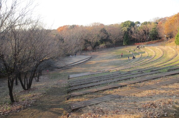 都筑中央公園(公園)まで481m グランド－ルセンタ－北