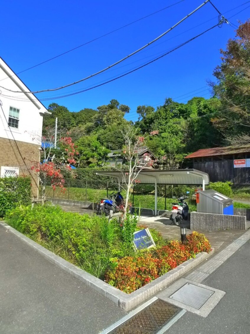 その他 パストラルソフィア