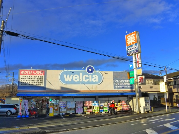 ウェルシア(ディスカウントショップ)まで1020m パストラルソフィア