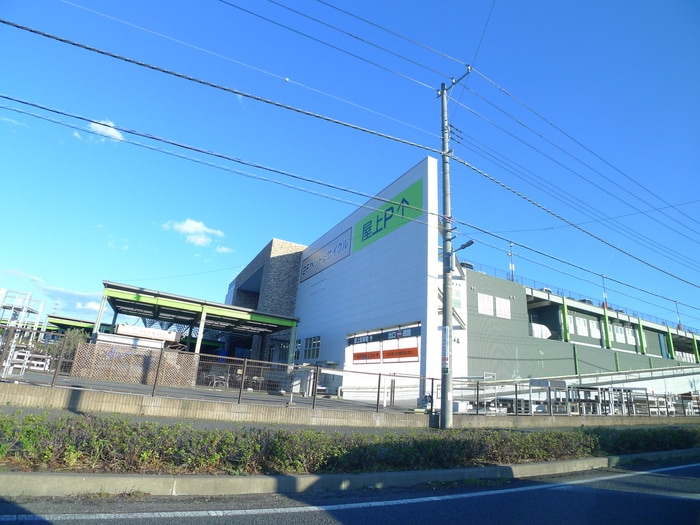ロイヤルホームセンター(電気量販店/ホームセンター)まで730m エーワンハイツ