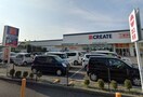 クリエイトＳ・Ｄ 相模原麻溝台店(ドラッグストア)まで249m シャルマン麻溝台