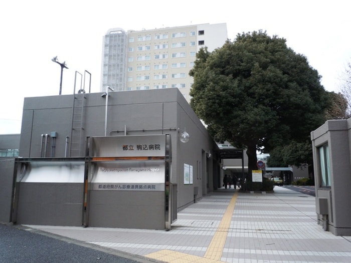 都立駒込病院(病院)まで429m Boa　sorte 本駒込