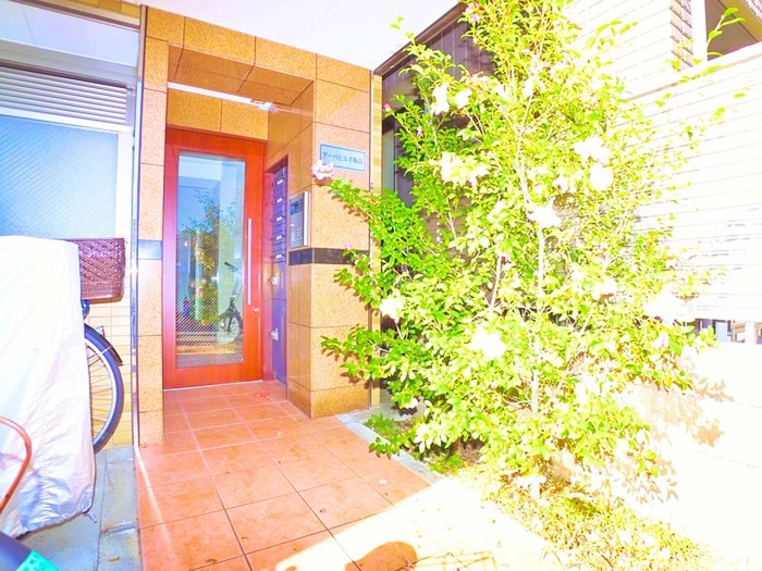 エントランス部分 ア－バヒルズ梅島