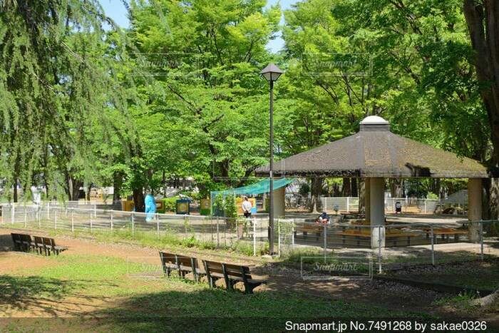 城北中央公園(公園)まで742m パークレジデンス平和台