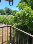 室内からの展望 ガ－デンヒルズ向ヶ丘