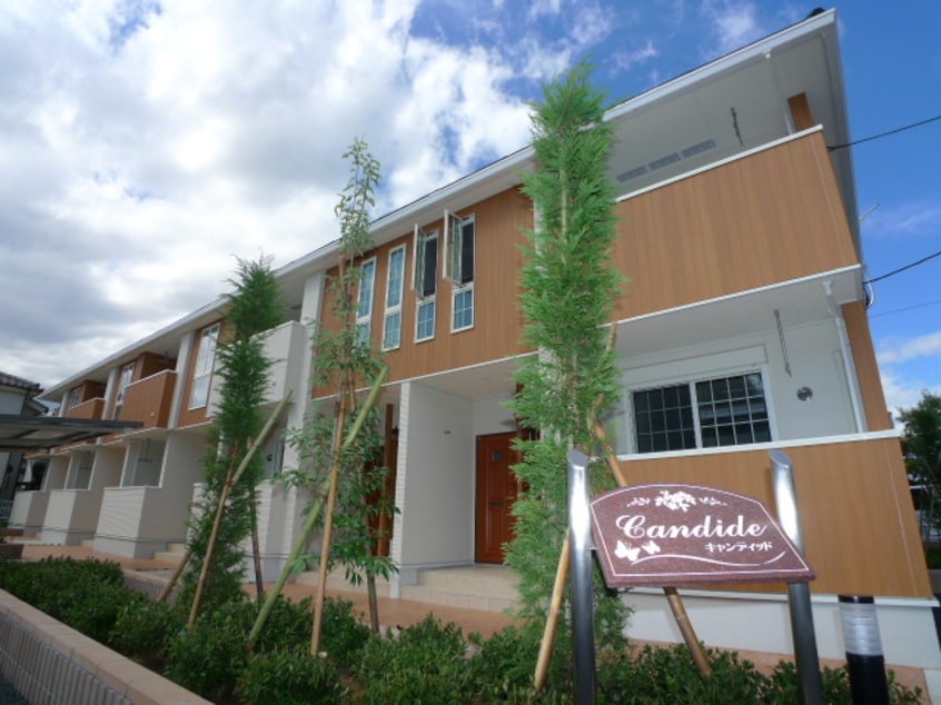 その他 キャンディッド