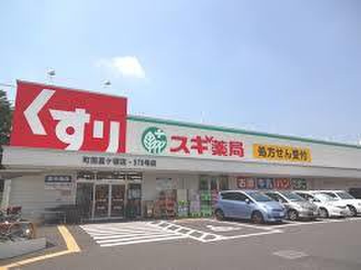 スギドラッグ 町田高ケ坂店(ドラッグストア)まで764m 羽山ハイツＥ