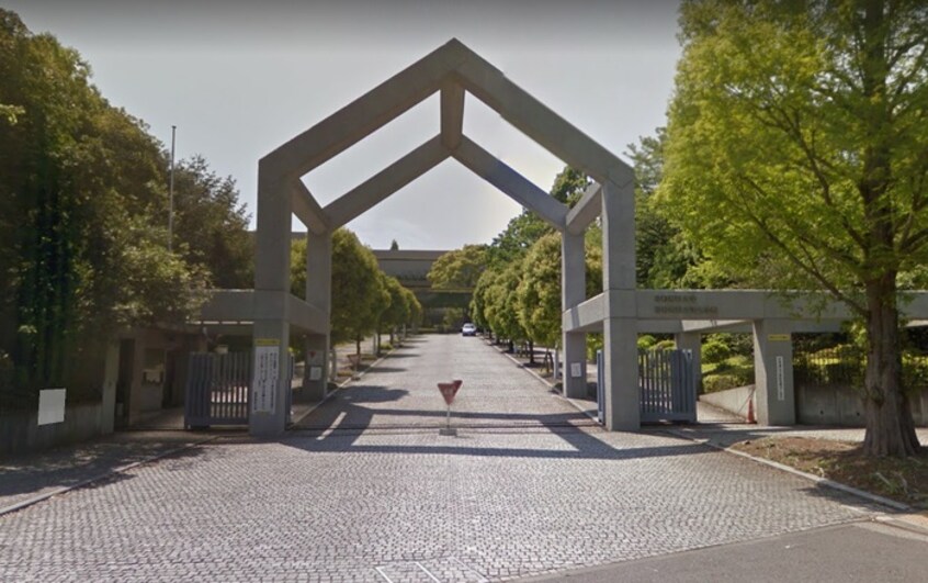 昭和薬科大学(大学/短大/専門学校)まで726m 羽山ハイツＥ