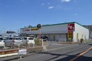 スギ薬局ラーレ東村山店(ドラッグストア)まで504m スカイガ－デン