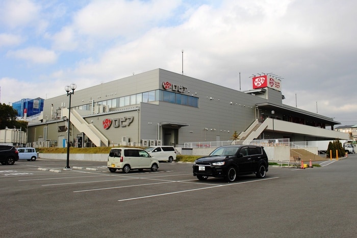 ロピア(スーパー)まで699m サザン・ウィンド・湘南・Ｇ