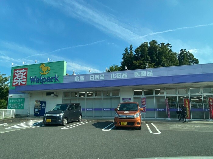 ウェルパーク八王子堀之内店(ドラッグストア)まで814m ローゼタナカ