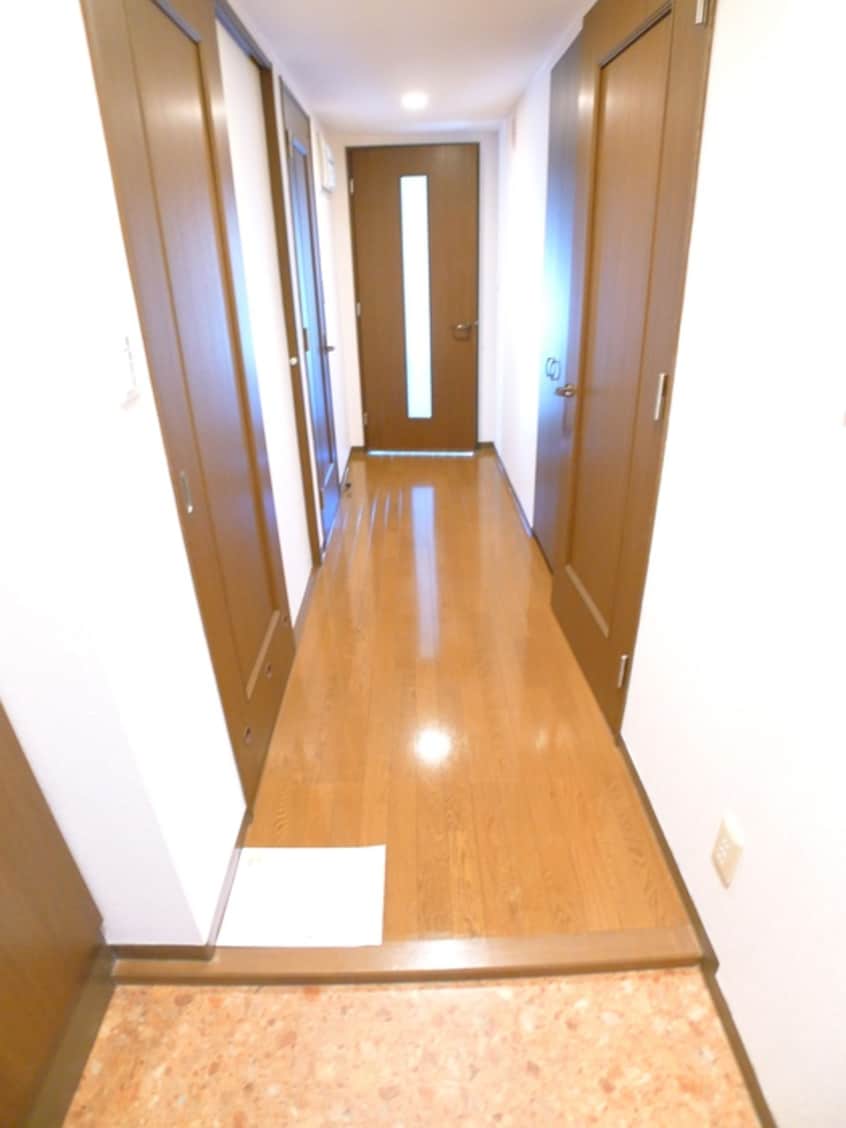 玄関 アポロハイツ