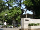 千葉大学(大学/短大/専門学校)まで557m Lien