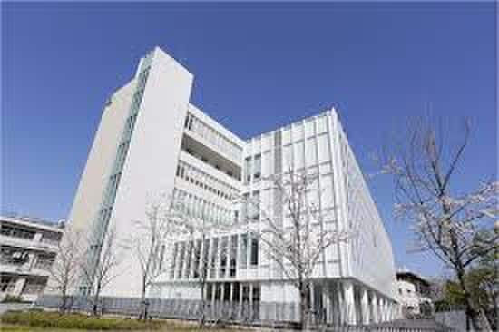 聖マリアンナ医科大学(大学/短大/専門学校)まで1400m アザーレ・ディオン三田