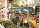 マルマンストア　南新宿店(スーパー)まで531m GRAN PASEO新宿