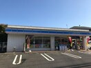 ローソン秦野西大竹店(コンビニ)まで159m ラ－ジガ－デンＥ