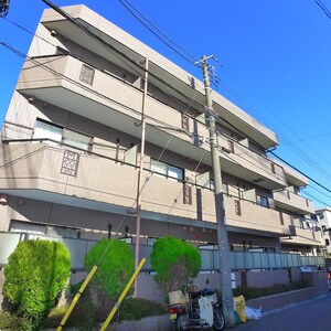 アポロフローラ