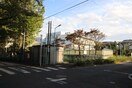 稲城第三中学校(中学校/中等教育学校)まで1100m 紅楓マンション