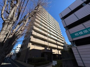 ﾗｲｵﾝｽﾞﾏﾝｼｮﾝ相模原さくら通り