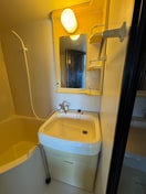 洗面 ﾗ･ﾊﾟﾙﾌｪ･ﾄﾞ･ｼｬﾃｰﾆｭNo2(306)