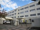 横浜市立もえぎ野小学校(小学校)まで550m プレシ－ルハイム