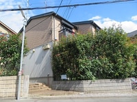 Ｐａｓｔｏｒａｌｅ