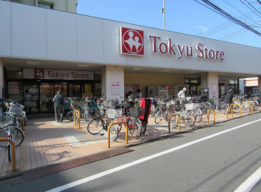 東急ストア東長崎店(スーパー)まで210m ジプソフィラ