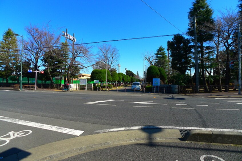 青木町公園(公園)まで300m ロットパレスⅢ