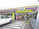 ファミリーマート江東千石店(コンビニ)まで230m プラチナフォルム住吉