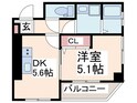 メゾンアニースティーの間取図