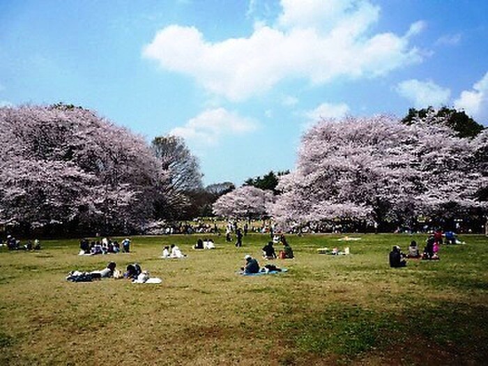 砧公園(公園)まで285m ハイム松原