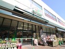 マルエツ真中店(スーパー)まで258m 駒沢フォーラムガーデン