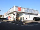 クリエイト　綾瀬桜並木店(ドラッグストア)まで220m さくらハイム