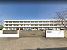 国分寺寺小学校(小学校)まで360m アヴェニール　ロジュマン
