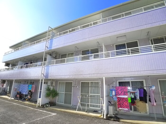 その他 バロン浄光