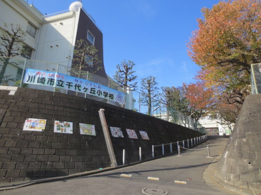 千代ヶ丘小学校(小学校)まで800m オークハウス