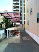 その他 アンプル－ルフェ－ル本川越