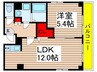 グランフェリーチェ船橋 1LDKの間取り