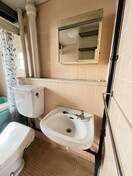 洗面 吉野原丸徳マンション