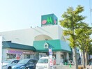 マルエツ　東川口店(スーパー)まで650m BaumRoom東川口