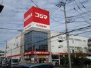 コジマ×ビックカメラ 横浜大口店(電気量販店/ホームセンター)まで283m ロイヤルパレス大口