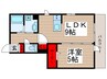 プランドール柴又 1LDKの間取り