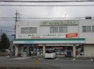 ファミリーマート(コンビニ)まで364m グランシェールⅠ