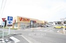 ヤオコー(スーパー)まで460m Ｉｂｒｉｏ島町